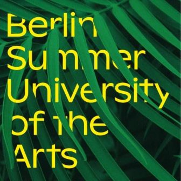 Berlin Summer University Of The Arts 2020 Artconnect